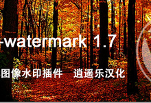 WordPress强大图像水印插件image-watermark1.7逍遥乐汉化版