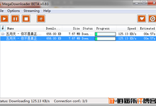 Mega网盘下载利器——MegaDownloader v1.21