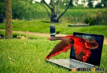 Photoshop运行慢?简单五步提升速度