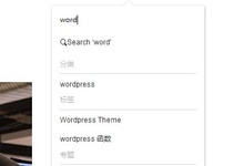 WordPress代码实现增强搜索功能,分类、标签、用户候选词