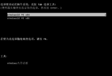 Win10PE_x86_x64.ISO(Windows10PE维护光盘)(2015年11月21日)