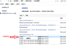 IE内核打开带Flash的网页崩溃 Win10新补丁带来大麻烦