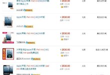 中关村水货iPad mini滞销 上市一周降价近千元