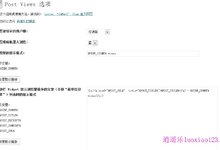 最受欢迎的日志访问量统计插件 Post Views1.65插件汉化版 逍遥乐汉化 2013年6月5日更新
