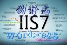 解决windows虚拟主机wordpress伪静态后中文标签分类404错误问题